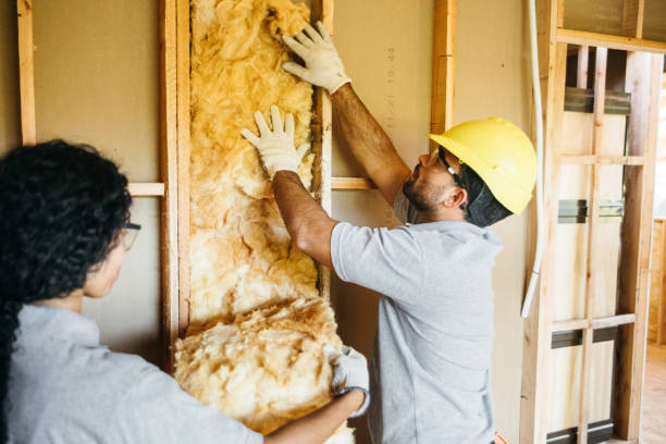 Trusted Lamesa, TX Insulation Experts