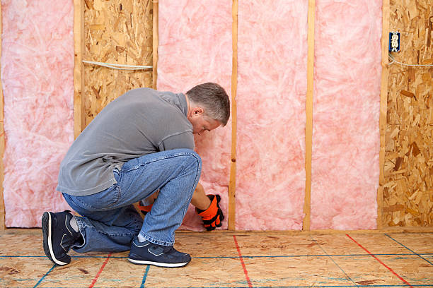 Best Blown-In Insulation  in Lamesa, TX