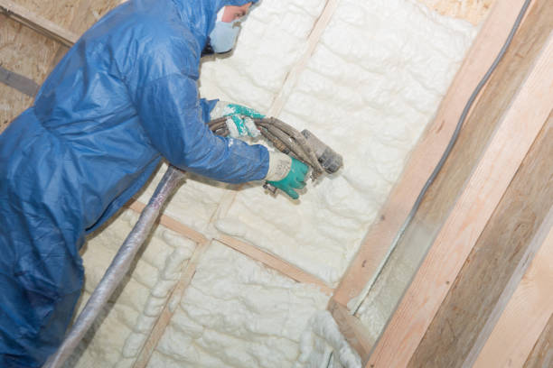 Best Eco-Friendly or Green Insulation Solutions  in Lamesa, TX